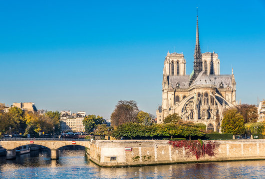 France, Paris, 4th arrondissement, l'Archev&ecirc;che bridge on the Seine river and Notre-Dame of Paris at L'&icirc;le de la Cite