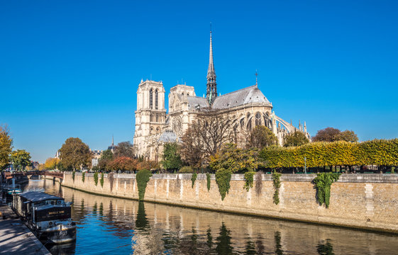 France, Paris, 4th arrondissement, Ile de la Cite, apse of the Cathedral Notre-Dame of Paris on the bank of the Seine river, seen from the Quai Montebello