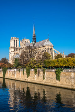 France, Paris, 4th arrondissement, Ile de la Cite, apse of the Cathedral Notre-Dame of Paris on the bank of the Seine river, seen from the Quai Montebello