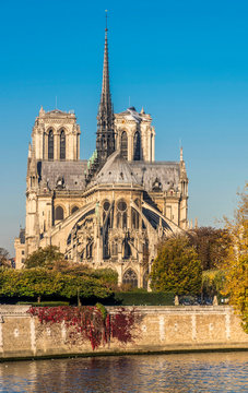 France, Paris, 4th arrondissement, Ile de la Cite, apse of the Cathedral Notre-Dame of Paris on the bank of the Seine river, seen from the Quai Montebello