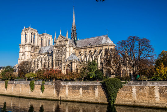 France, Paris, 4th arrondissement, Ile de la Cite, apse of the Cathedral Notre Dame de Paris on the bank of the Seine river, seen from the Quai de Montebello