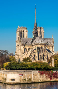 France, Paris, 4th arrondissement, Ile de la Cite, apse of the Cathedral Notre-Dame of Paris on the bank of the Seine river, seen from the Quai Montebello
