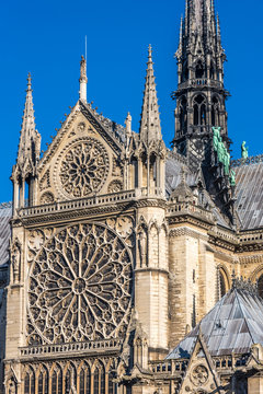 France, Paris, 4th arrondissement, Ile de la Cite, details of the cathedral Notre-Dame of Paris seen from the Quai de Montebello
