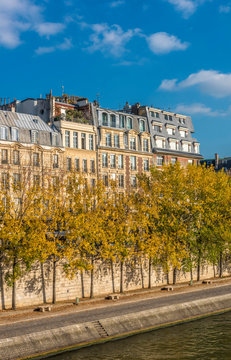 France, Paris, 1st arrondissement, Ile de la Cite, boardwalk on the bank of the Seine river and buildings on the Quai des Orfevres