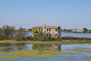 Fototapeta na wymiar Old uninhabited houses in the Venetian lagoon - Italy