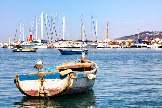 Seagulls on a boat in the port of Procida, Gulf of Naples, Campania region, Italy