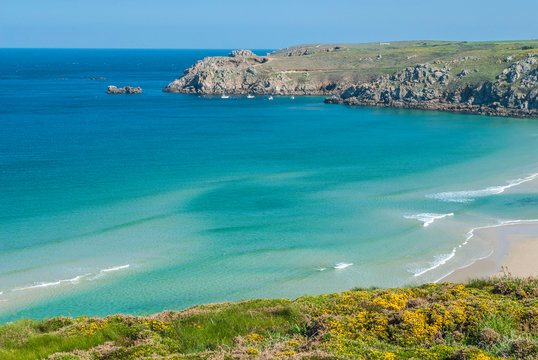 France, Brittany, Cap Sizun, ulex flowers, Pointe du Van and Baie des Trepasses