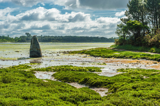 France, Brittany, Finistere, estuary of the river Pont l'Abbe, menhir of Penglaouic (3000-2000 BC) partly submerged by water.