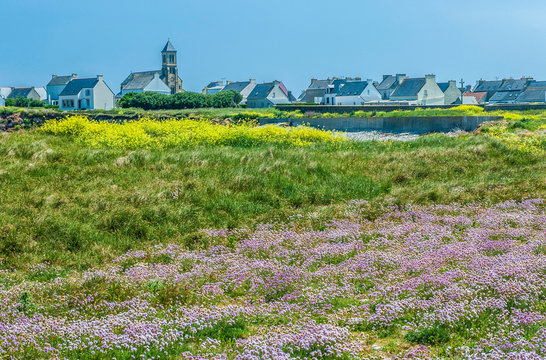 France, Brittany, Ile de Sein, heathland and village