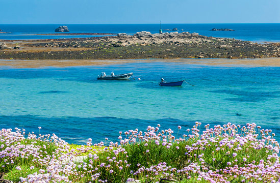 France, Brittany, Ile de Sein, boats and pink sea thrifts (armeria maritima)