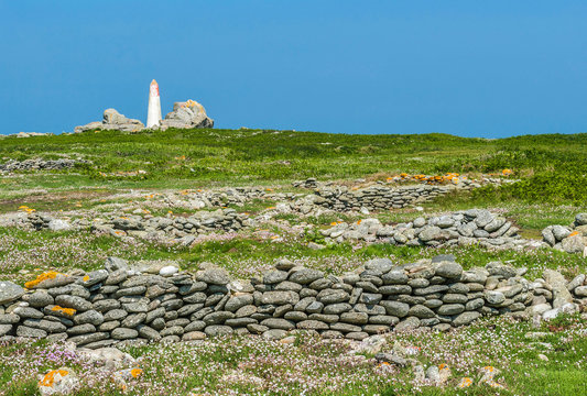France, Brittany, Ile de Sein, old fields protected by low walls made of stone and Amer "plas ar scoul"