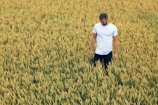 Young man in a wheat field