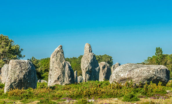 France, Brittany, Morbihan, Carnac stone row (Neolithic period)