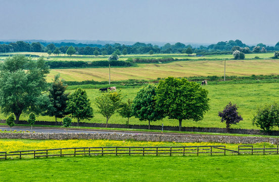 Republic of Ireland, County Tipperary, coutryside near Cashel