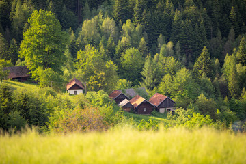 Beskid Sądecki - Góry Karpaty © BARONPHOTOGRAPHY.EU