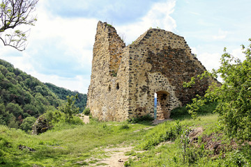 Fototapeta na wymiar Ruins of medieaval castle Tyrov with door portal