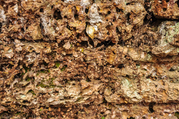 Laterite stone wall texture