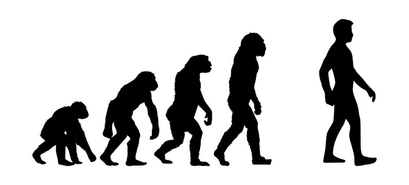 Vector illustration of evolution progress with 5 different human figures isolated on white background. High quality illustration.