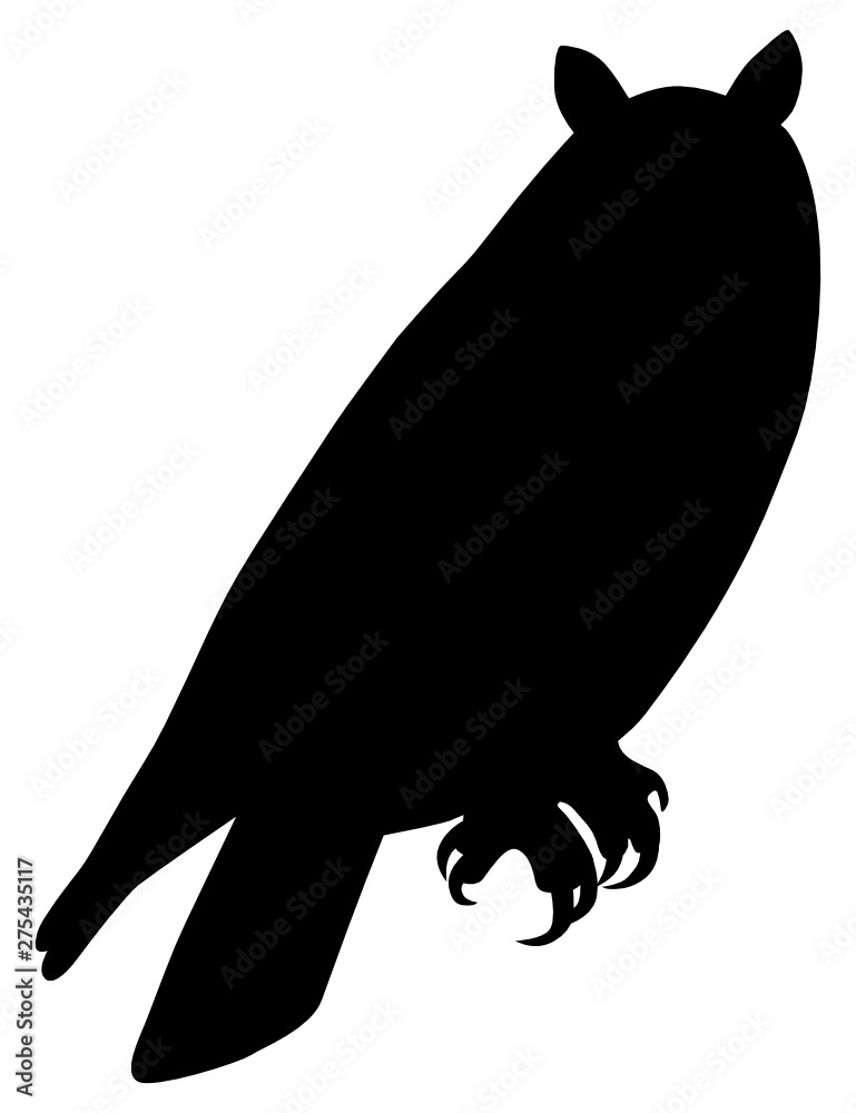 Canvas Prints high quality illustration of owl silhouette isolated on white background - file available in vector 