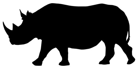 Obraz na płótnie Canvas High detailed vector silhouette of a rhino isolated on white background. Full editable eps file available.