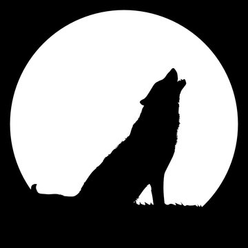 High detailed illustration of a wolf howling at the big full moon. Full editable high quality eps vector file available.