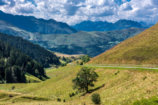 France, Hautes-Pyrenees, grasslands between the Cols de Peyressourde and the Val Louron-Azet