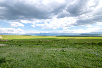 Fototapeta premium Country road among green fields and hills against the backdrop of mountains with snow-capped peaks.