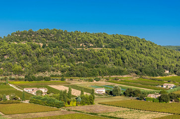 France, Luberon, Vaucluse, countryside around Menerbes (Most Beautiful Village in France)