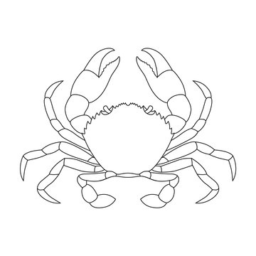Crab graphic icon. Sea сrab black contour isolated on white background. Vector illustration