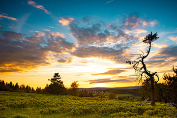 a german Beauty Rothaar Mountains