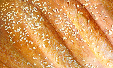Warm and fragrant crust of sesame bread close-up.