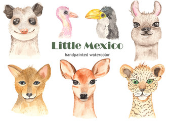 Watercolor cute cartoon mexican animals. Portrait with tropical trendy. Perfect for invitations, cards, greeting cards, birthday, baby shower, logo, travel, prints, posters.