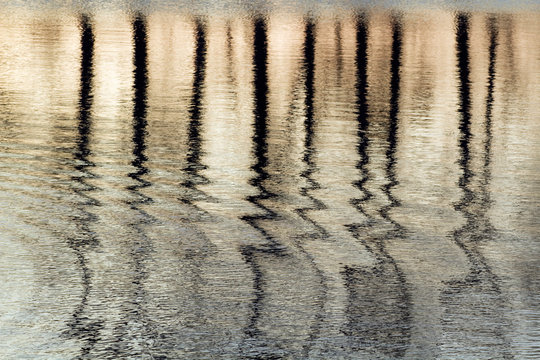 France, 44, Canal de La Martiniere, reflection of the trees on water