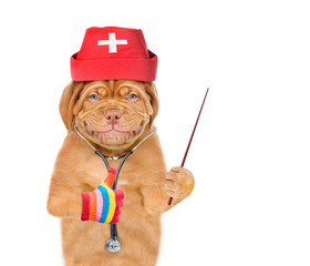 Smiling puppy dressed like a doctor with a stethoscope on his neck pointing on empty space and showing thumbs up. isolated on white background