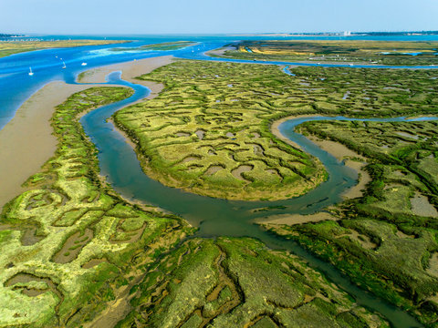 United Kingdom, England. Essex. Tollesbury. Tollesbury Wick