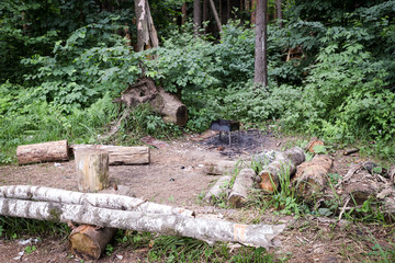 place in the forest for a picnic
