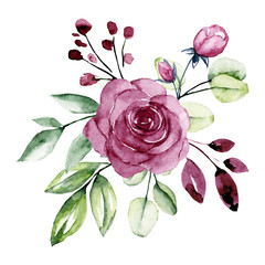 Watercolor roses, flower bouquet. Floral vintage illustration with flowers for greeting cards, wedding invitations, and other printing projects. Isolated on white background.