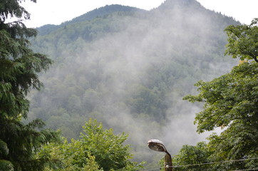 Peaks of mountains in the fog