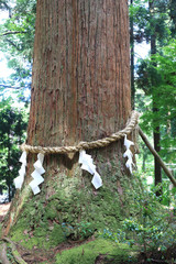 Yokoyama shrine in Shiga Pref, Japan