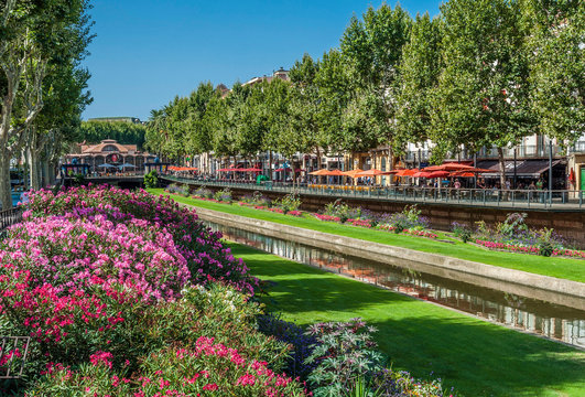 France, Occitania, Eastern Pyrenees, Perpignan, shrubs full of flower along the canalized T&ecirc;t river