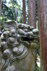 Fototapeta na wymiar Yokoyama shrine in Shiga Pref, Japan