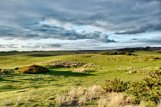 Normandy. Manche. Pointe d'Agon Coutainville. Nature preservation area. Nature reserve during the winter.