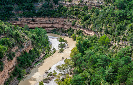 Spain, autonomous community of Aragon, Sierra y Ca&ntilde;ones de Guara natural park, canyon of the Alcanadre river at Bierge, Aleppo pine and green oek trees