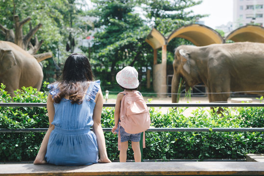 Happy Mother And Daughter Watching And Feeding Elephants In Zoo.