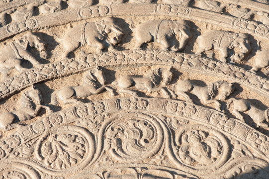 Among most famous moon stone of Ratnagiri vatadage, Polonnaruwa, Sri Lanka