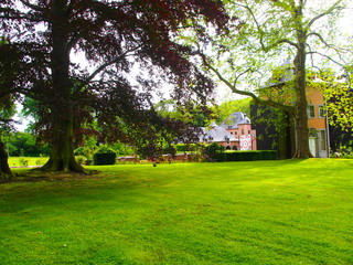 Coloma Rose Garden in Belgium