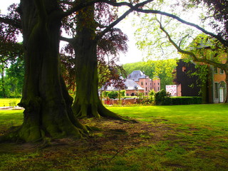 Coloma Rose Garden in Belgium