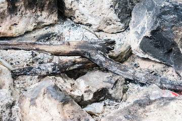 bonfire extinguished in riverbank forest