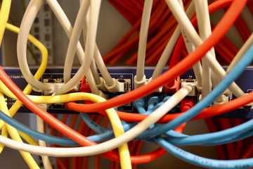 network cables connected to switch