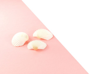 Summer tropical vacation background. White seashells on a pink background. Copy space, top view. 